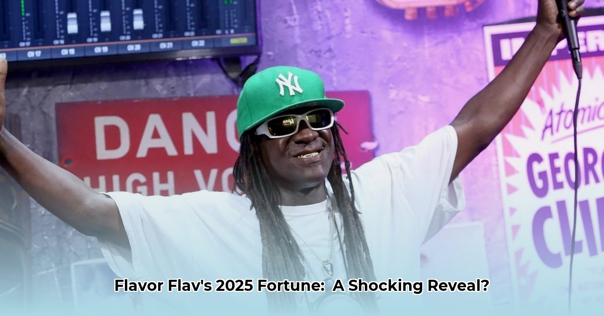 flava-flave-net-worth